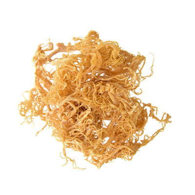 Wildcrafted Sea Moss